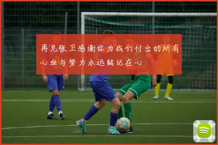 再见张卫感谢你为我们付出的所有心血与努力永远铭记在心