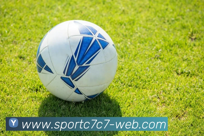 C7C7娱乐APP 封面图